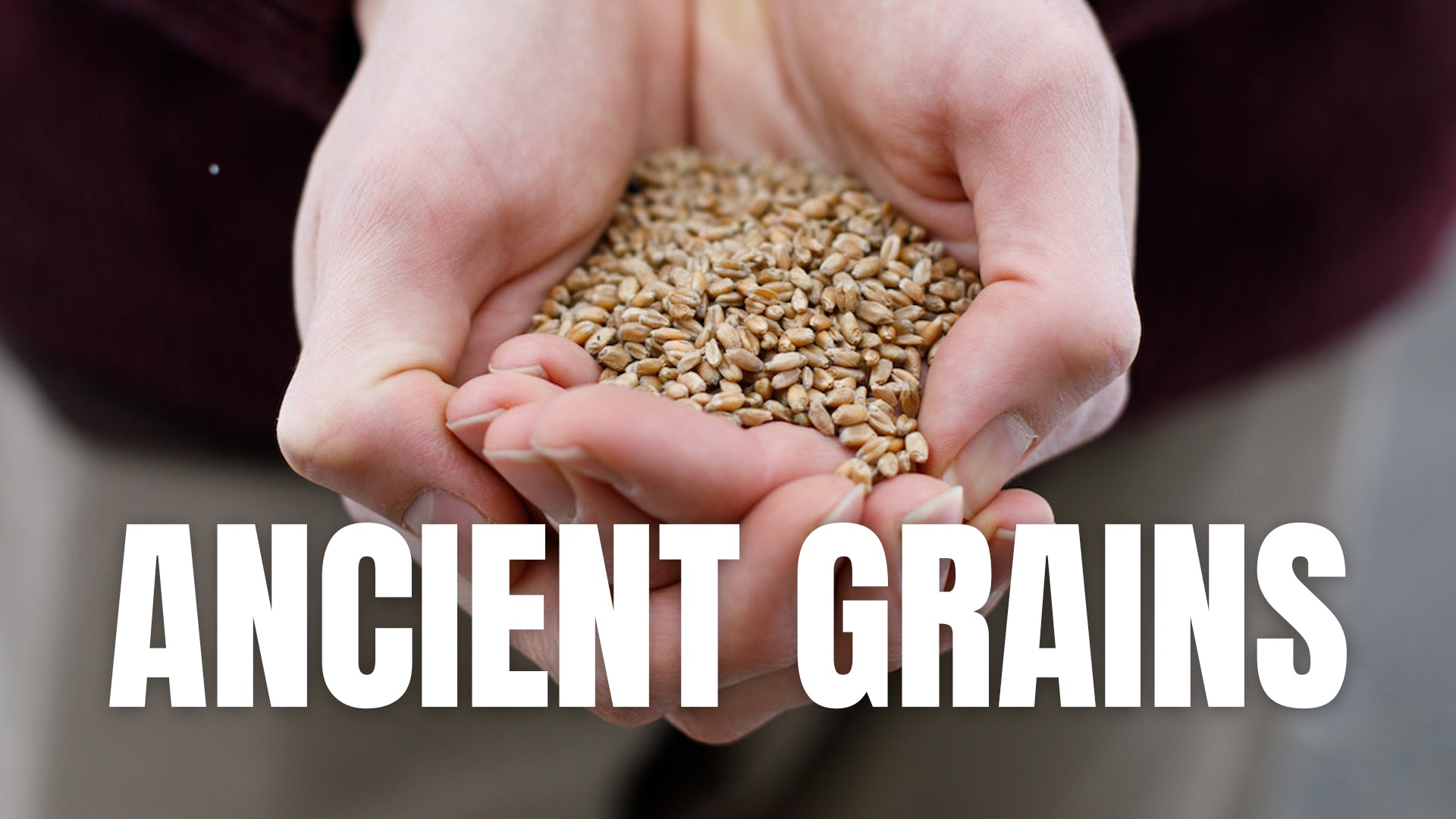 Ancient Grains in Chicken Feed