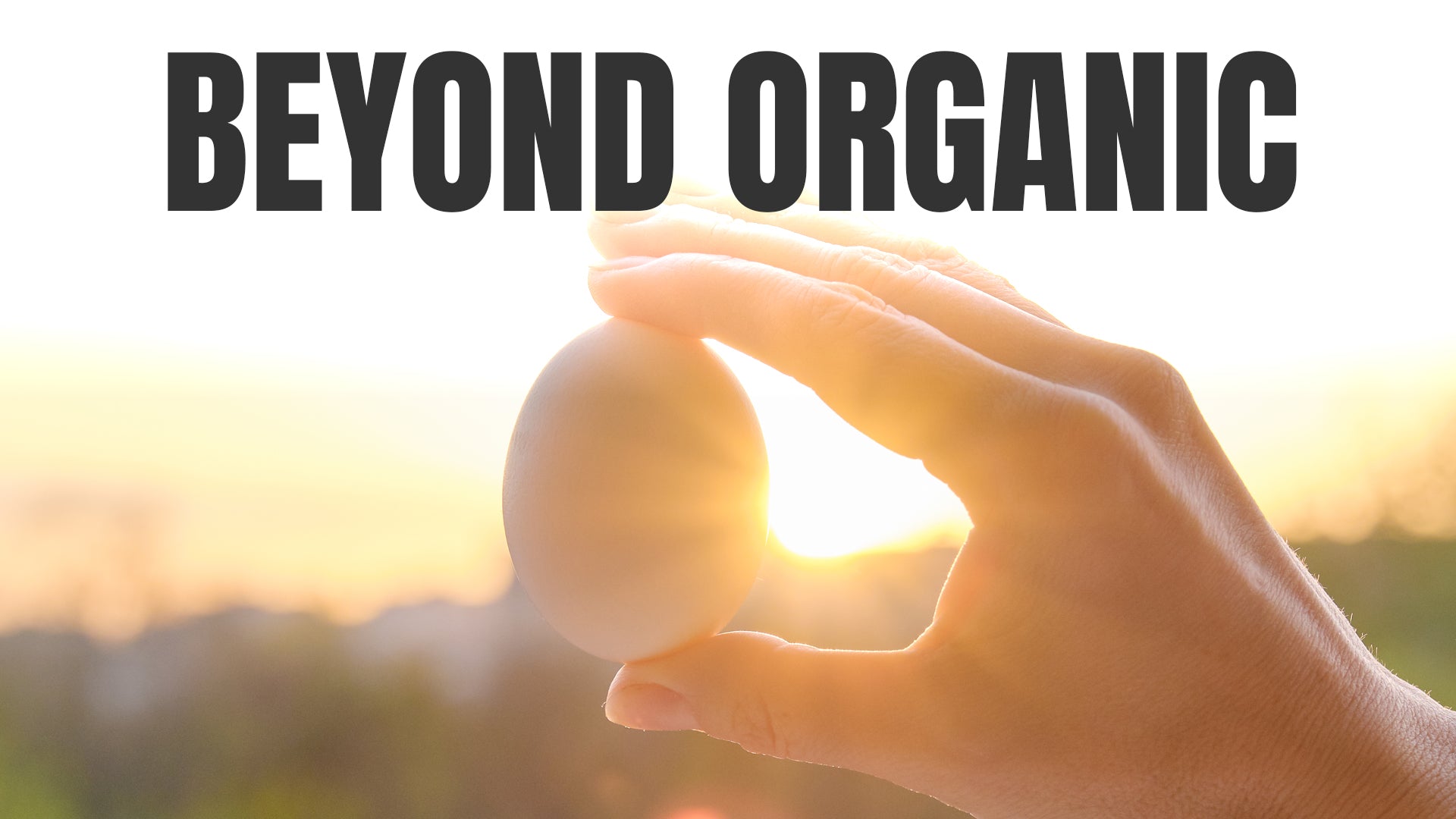 Beyond Organic Chickens