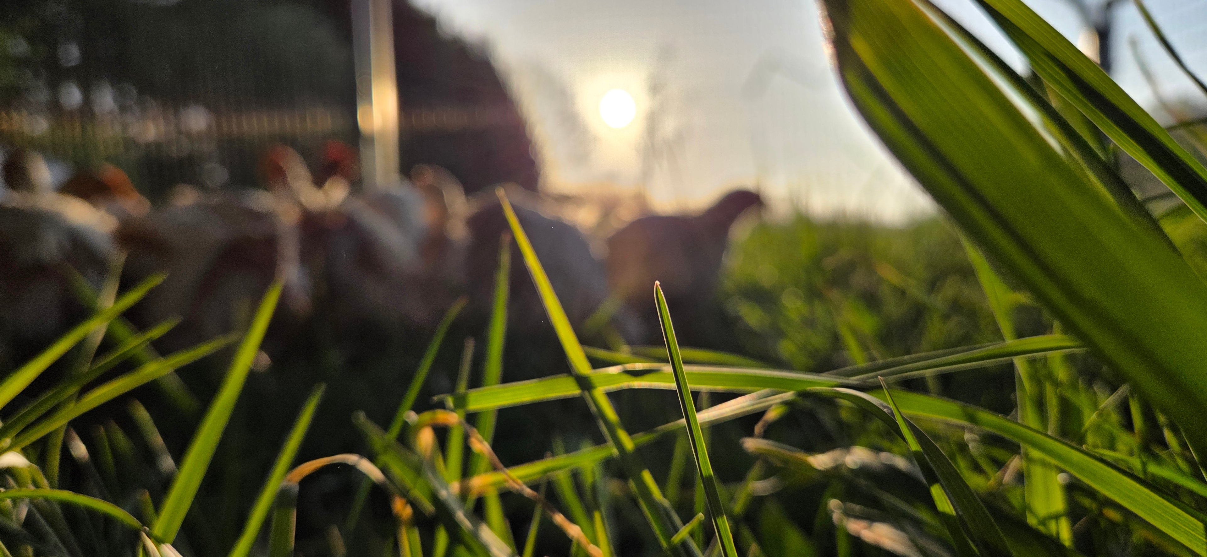 20250429_071458.jpg