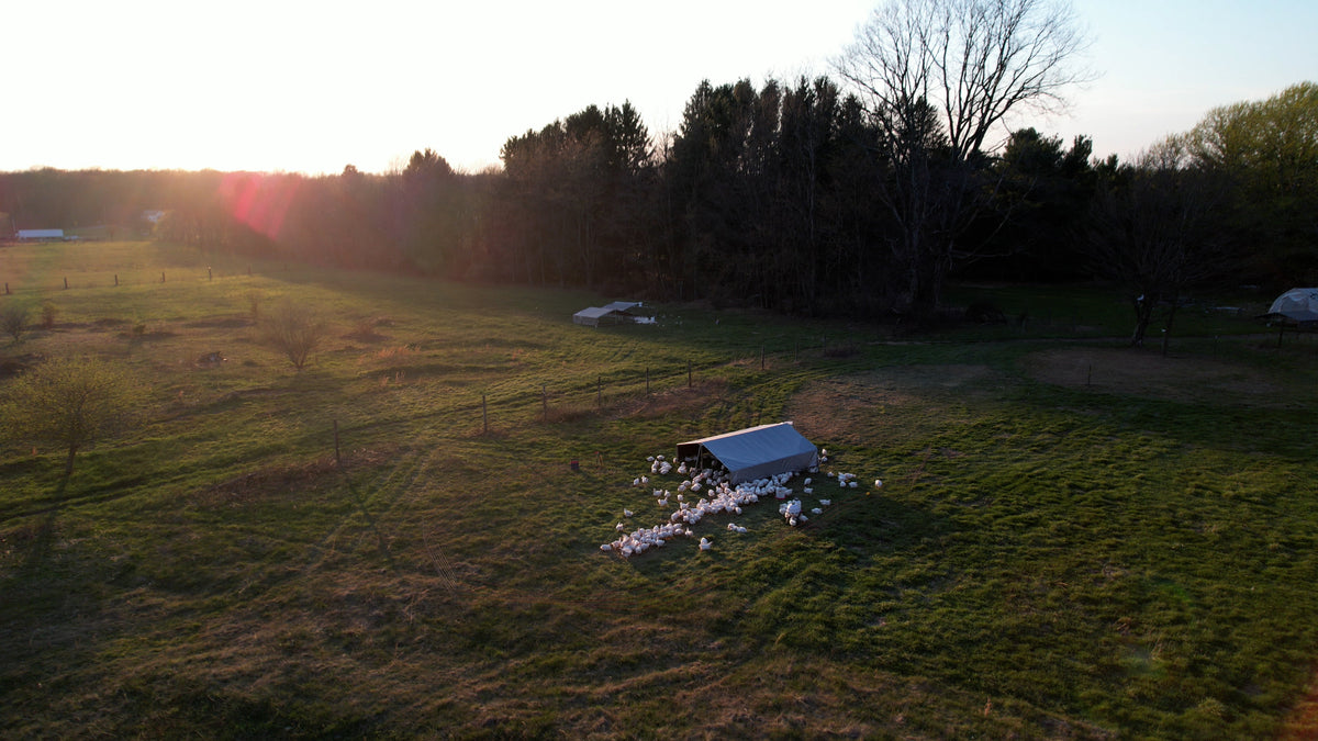 Nature's Grove Farm – naturesgrovefarm